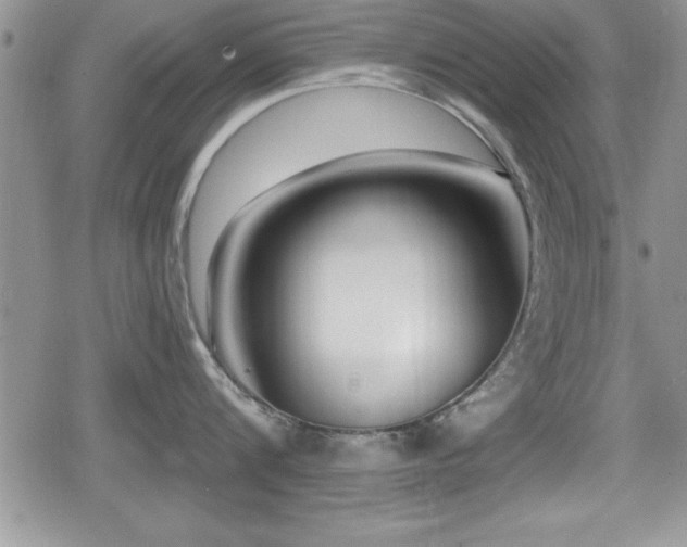 X0000080770816200612151433