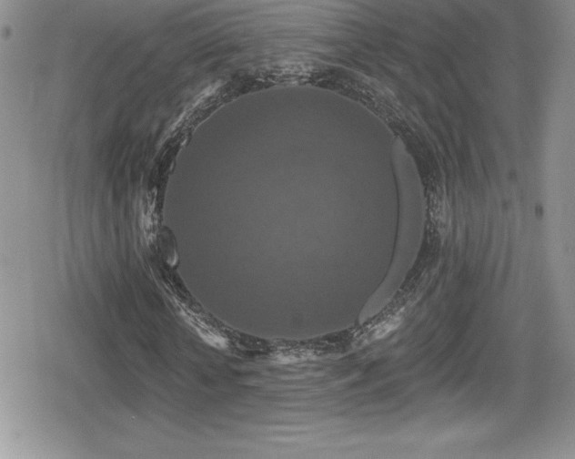 X0000080770818200612151432