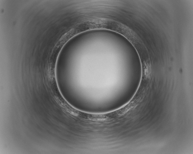 X0000080770819200612151432