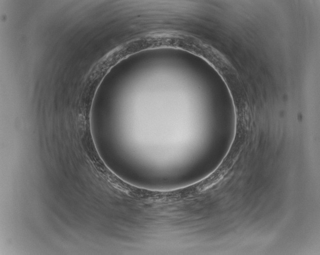 X0000080770821200612151432