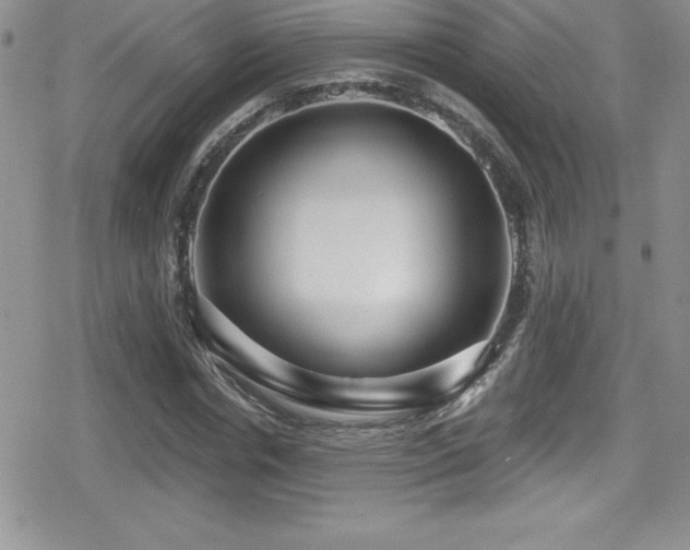 X0000080770826200612151432