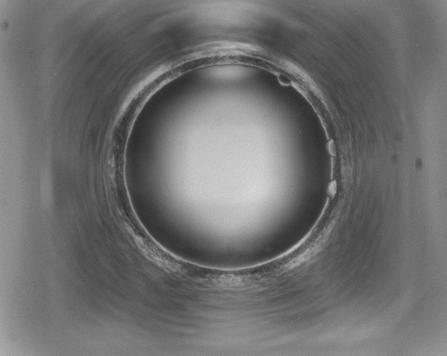 X0000080770827200612151432