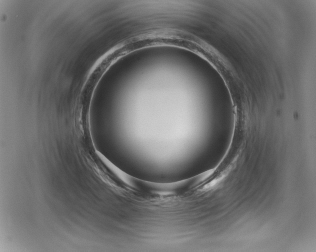 X0000080770830200612151432