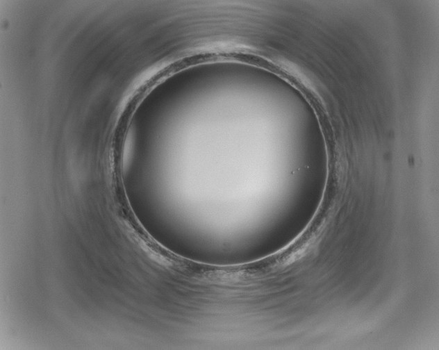 X0000080770831200612151432