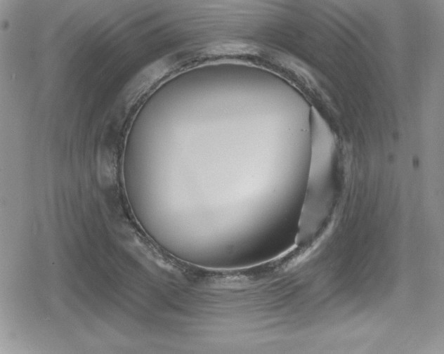 X0000080770833200612151432