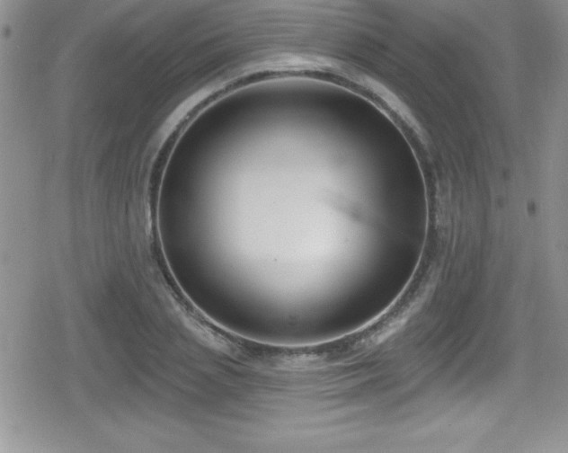 X0000080770837200612151432