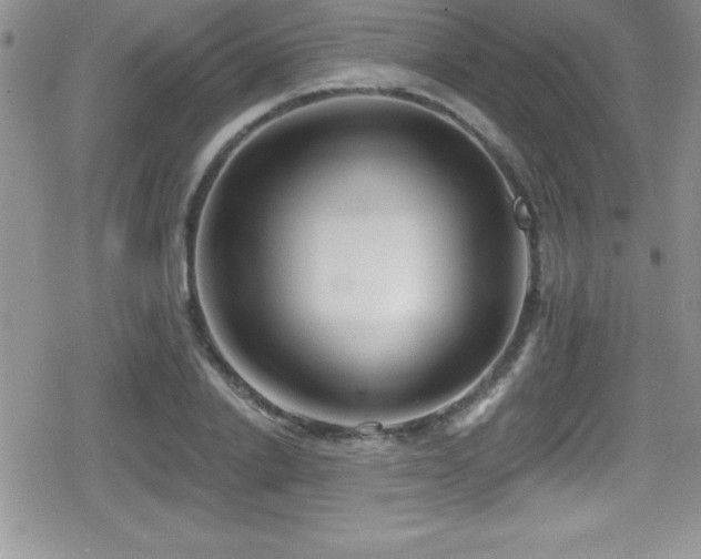X0000080770838200612151432