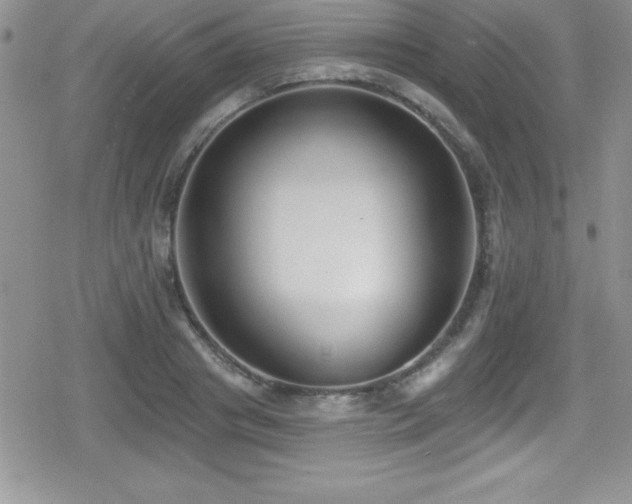X0000080770841200612151432