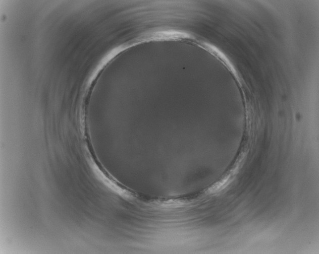 X0000080770851200612151433