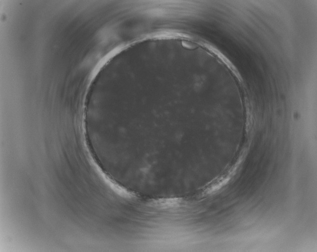 X0000080770853200612151433