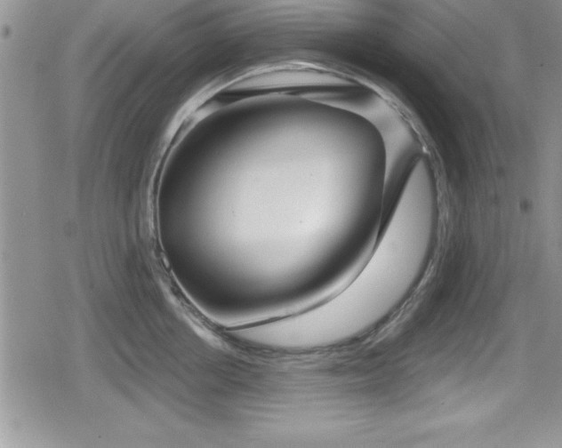 X0000080770858200612151433