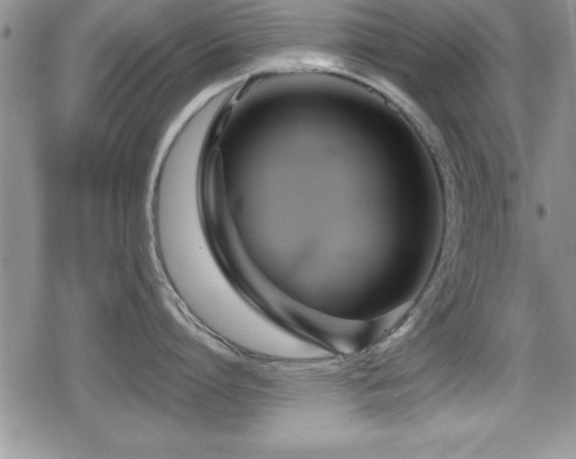 X0000080770864200612151433