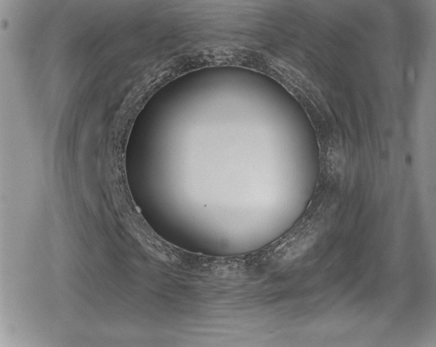 X0000080770865200612151432