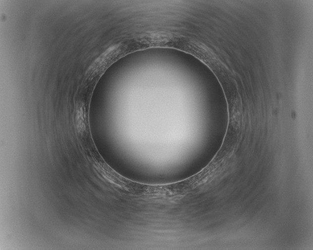 X0000080770866200612151432