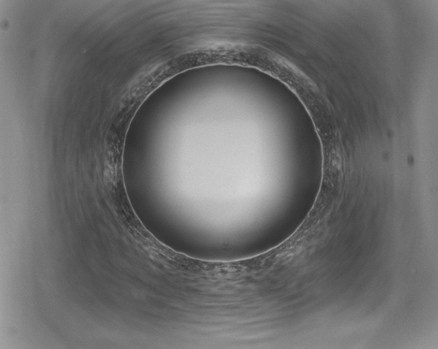 X0000080770869200612151432