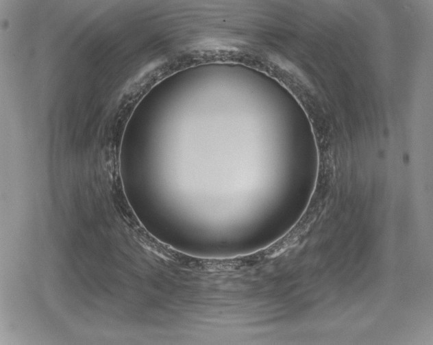 X0000080770870200612151432