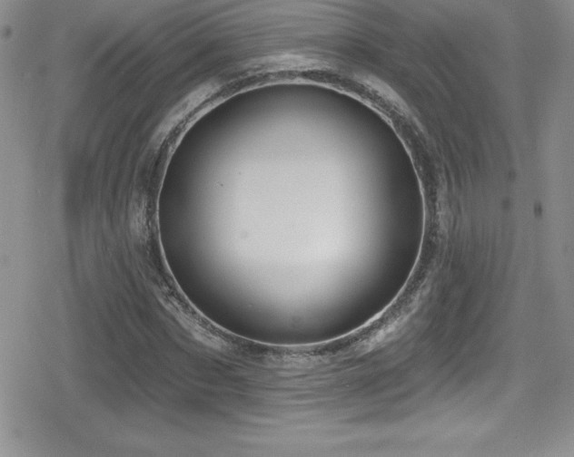 X0000080770873200612151432