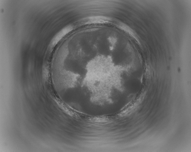 X0000080770874200612151432
