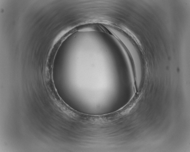 X0000080770876200612151432