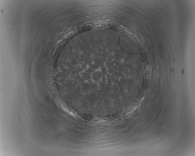 X0000080770913200612151430