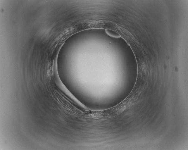 X0000080770914200612151430