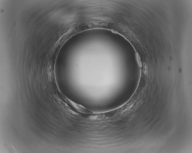 X0000080770915200612151430