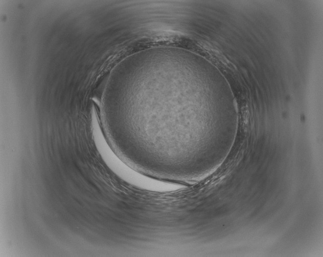 X0000080770916200612151430