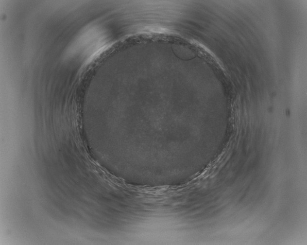 X0000080770919200612151431