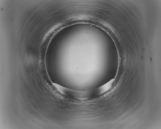 X0000080770922200612151431
