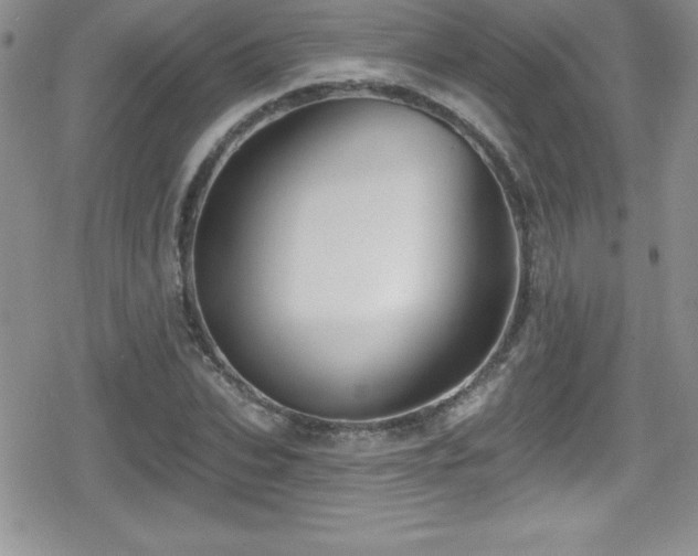 X0000080770927200612151431
