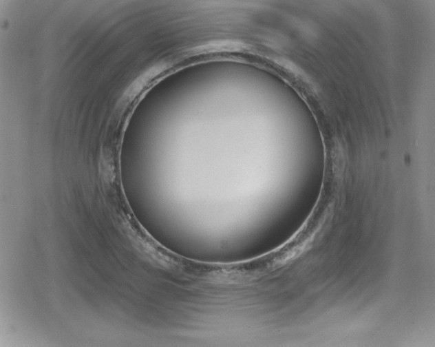 X0000080770929200612151431