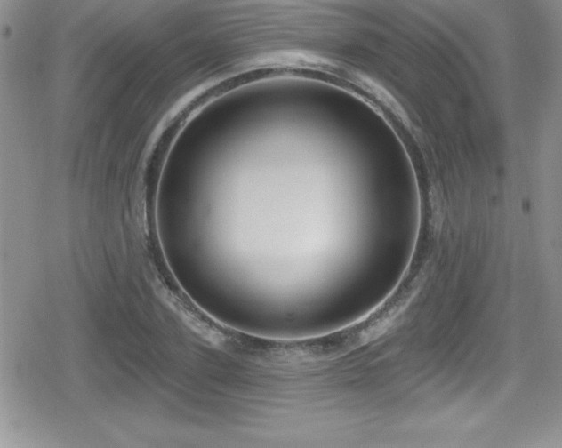 X0000080770931200612151431