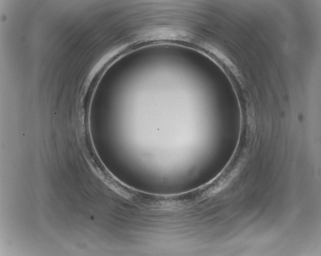 X0000080770933200612151431