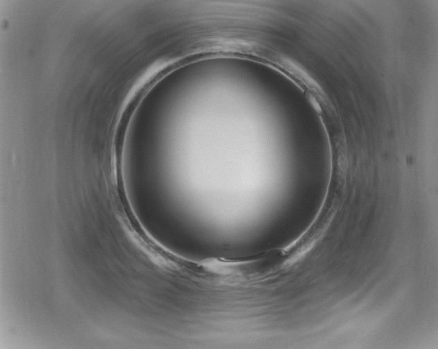 X0000080770940200612151431