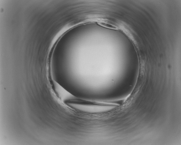 X0000080770955200612151431