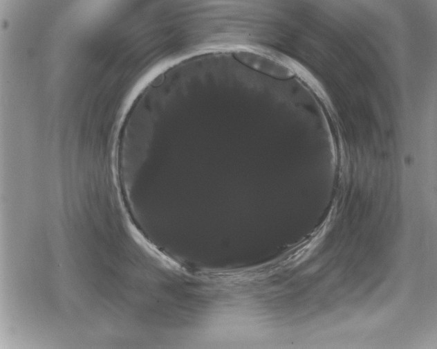 X0000080770958200612151431
