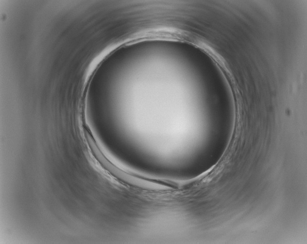 X0000080770960200612151431