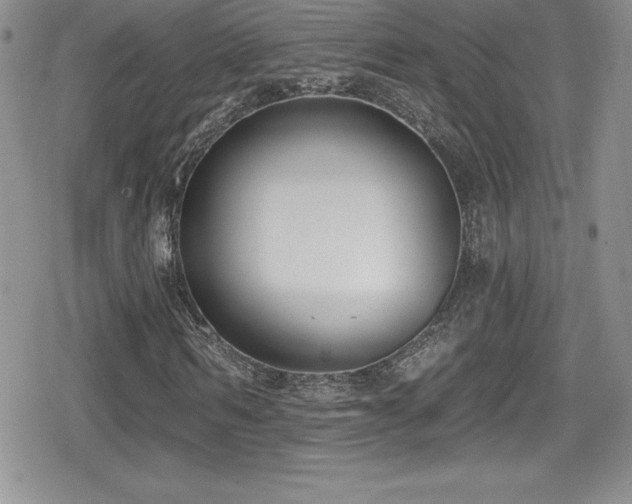 X0000080770962200612151430