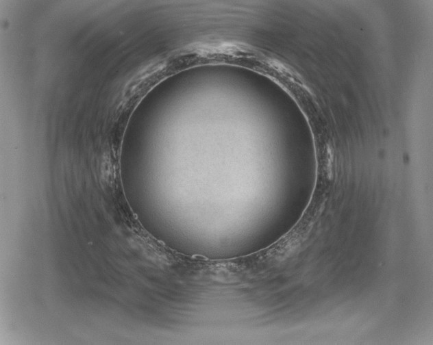X0000080770966200612151430