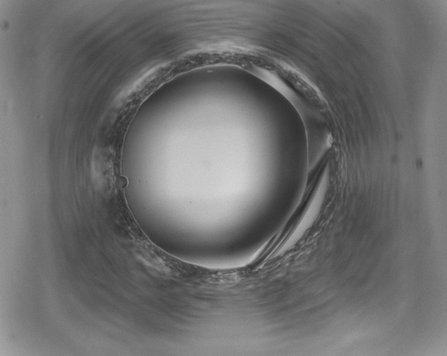 X0000080770968200612151430
