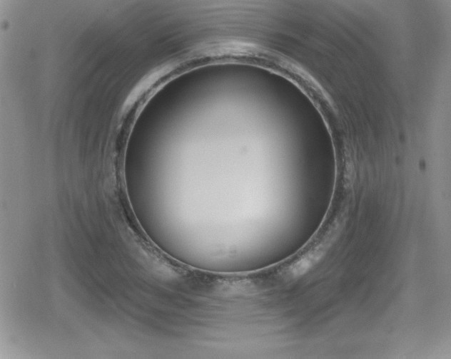 X0000080770978200612151430
