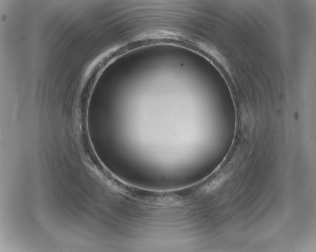 X0000080770979200612151430