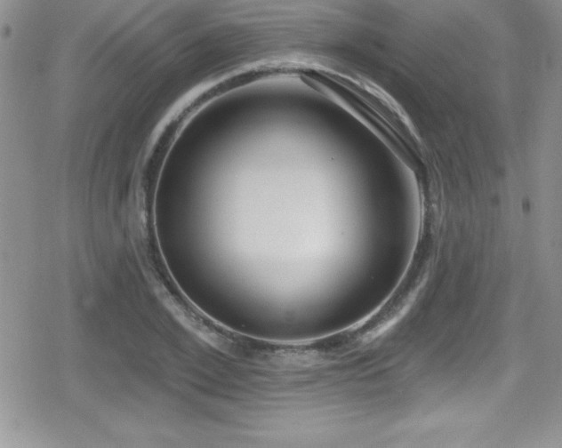 X0000080770981200612151430