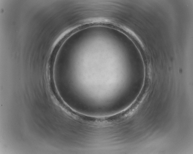 X0000080770983200612151430