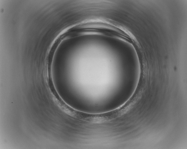 X0000080770984200612151430