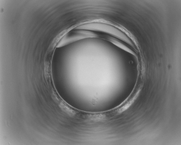 X0000080771001200612151430