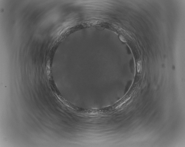 X0000080771011200612151429
