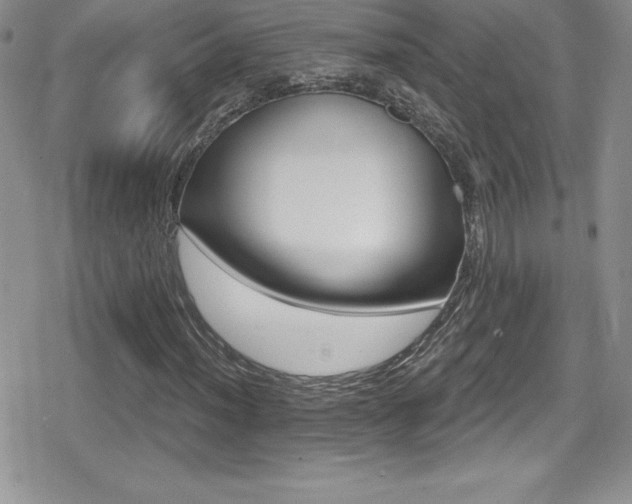 X0000080771012200612151429