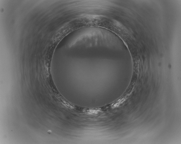 X0000080771013200612151429