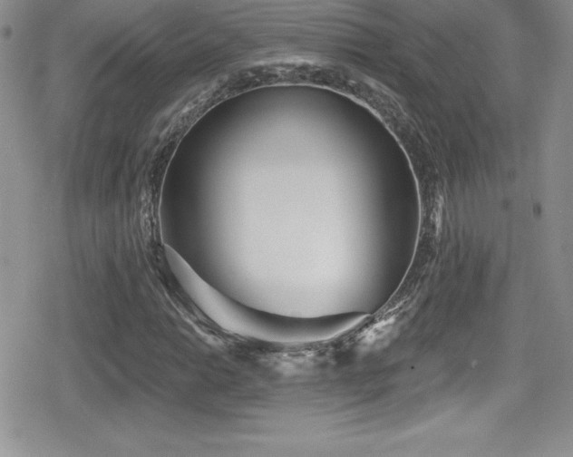 X0000080771014200612151429